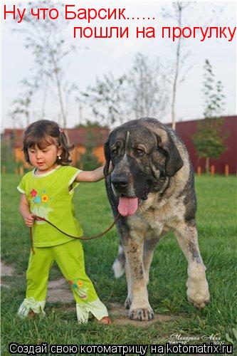 Котоматрица: Ну что Барсик...... пошли на прогулку