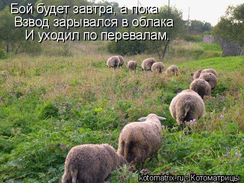 Котоматрица: Бой будет завтра, а пока Взвод зарывался в облака И уходил по перевалам.