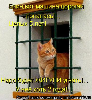 Котоматрица: Блин,вот машина дорогая попалась!... Целых 5 лет! Надо будет ЖИГУЛИ угнать!... У неё хоть 2 года!...