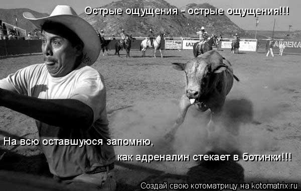 Котоматрица: Острые ощущения - острые ощущения!!! На всю оставшуюся запомню, как адреналин стекает в ботинки!!!