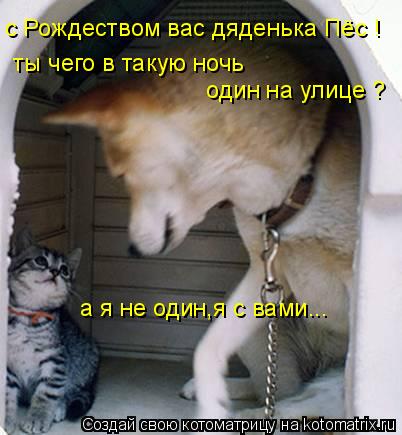 с Рождеством вас дяденька Пёс ! ты чего в такую ночь один на улице ? а я не один,я с вами...... Котоматрица: с Рождеством вас дяденька Пёс ! ты чего в такую ночь один на улице ? а я не один,я с вами...