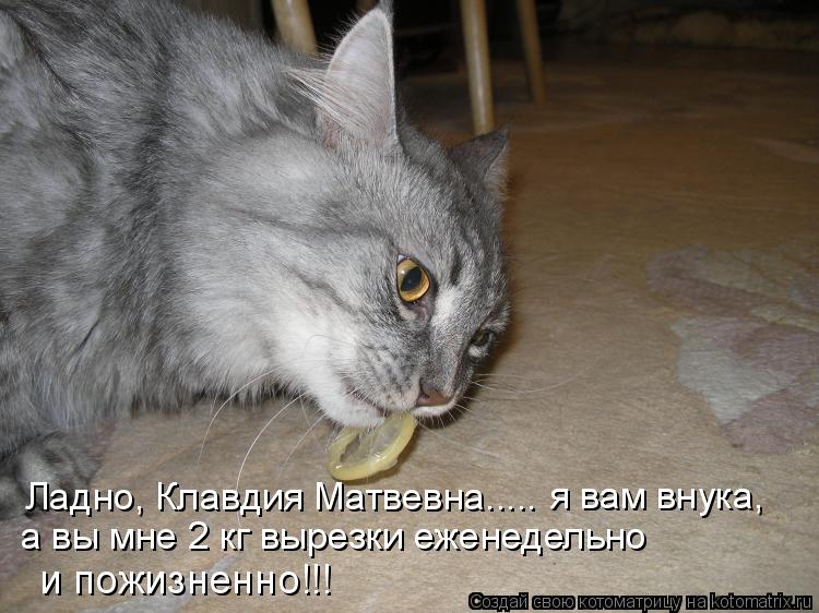 http://kotomatrix.ru/images/lolz/2009/07/21/325429.jpg