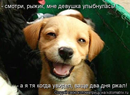 Котоматрица: - смотри, рыжик, мне девушка улыбнулась! - а я тя когда увидел, ваще два дня ржал!