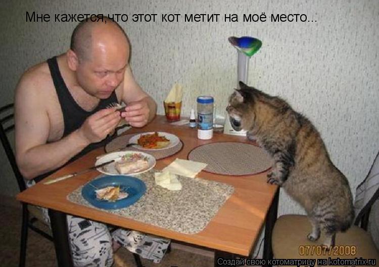 Котоматрица: Мне кажется,что этот кот метит на моё место...