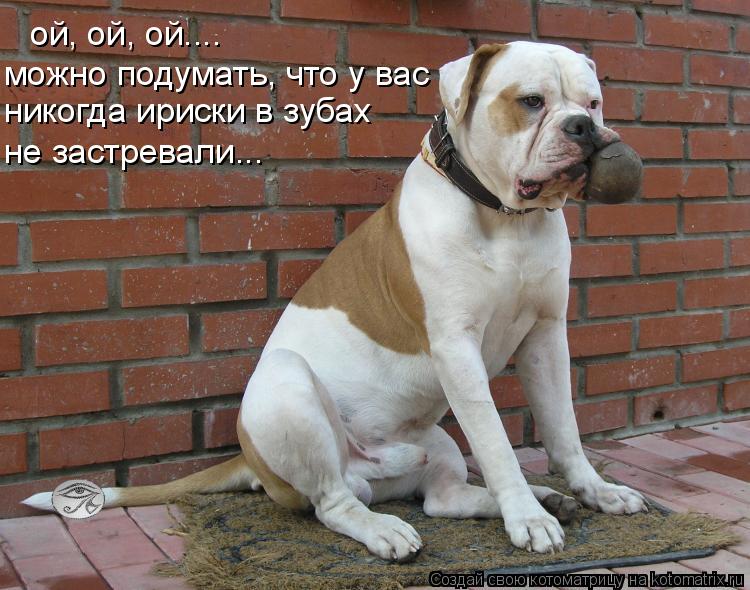 ой, ой, ой.... можно подумать, что у вас никогда ириски в зубах не застревали...... Котоматрица: ой, ой, ой.... можно подумать, что у вас никогда ириски в зубах не застревали...
