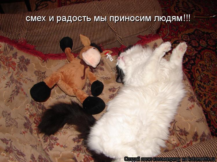 смех и радость мы приносим людям!!!... Котоматрица: смех и радость мы приносим людям!!!