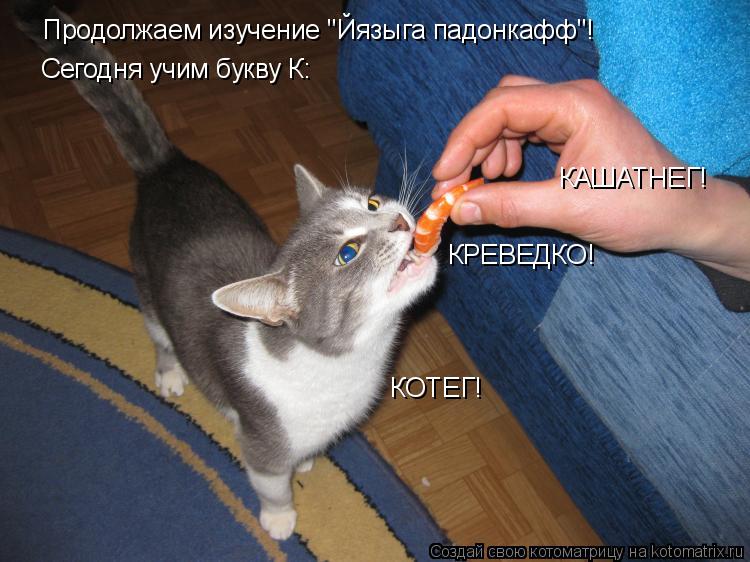 Продолжаем изучение "Йязыга падонкафф"! Сегодня учим букву К: КРЕВЕДКО! КОТЕГ! КАШАТНЕГ!... Котоматрица: Продолжаем изучение "Йязыга падонкафф"! Сегодня учим букву К: КРЕВЕДКО! КОТЕГ! КАШАТНЕГ!