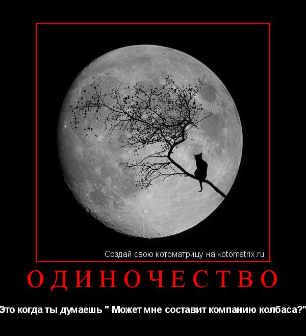 Котоматрица: Одиночество Это когда ты думаешь " Может мне составит компанию колбаса?"