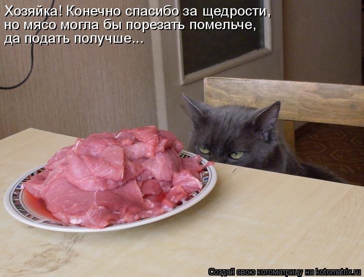 Хозяйка! Конечно спасибо за щедрости, но мясо могла бы порезать помельче, да подать получше...... Котоматрица: Хозяйка! Конечно спасибо за щедрости, но мясо могла бы порезать помельче, да подать получше...