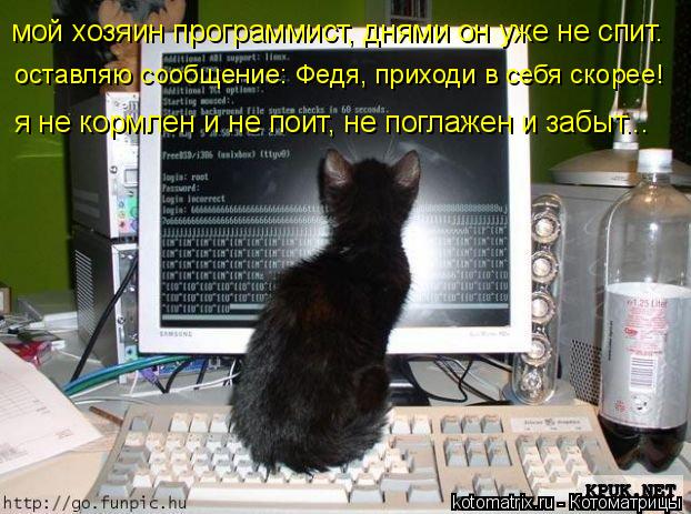 Котоматрица: мой хозяин программист, днями он уже не спит.  оставляю сообщение: Федя, приходи в себя скорее! я не кормлен и не поит, не поглажен и забыт...