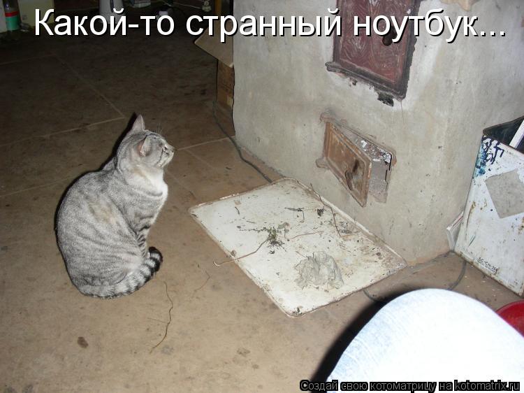 Котоматрица: Какой-то странный ноутбук...
