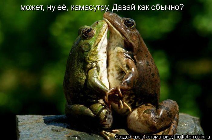 Котоматрица: может, ну её, камасутру. Давай как обычно?