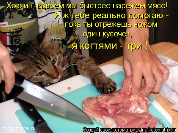 Я ж тебе реально помогаю - Хозяин, вдвоем мы быстрее нарежем мясо! пока ты отрежешь ножом один кусоч... Котоматрица: Я ж тебе реально помогаю - Хозяин, вдвоем мы быстрее нарежем мясо! пока ты отрежешь ножом один кусочек, я когтями - три !