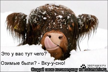 Это у вас тут чего? Озимые были? - Вку-у-сно!... Котоматрица: Это у вас тут чего? Озимые были? - Вку-у-сно!