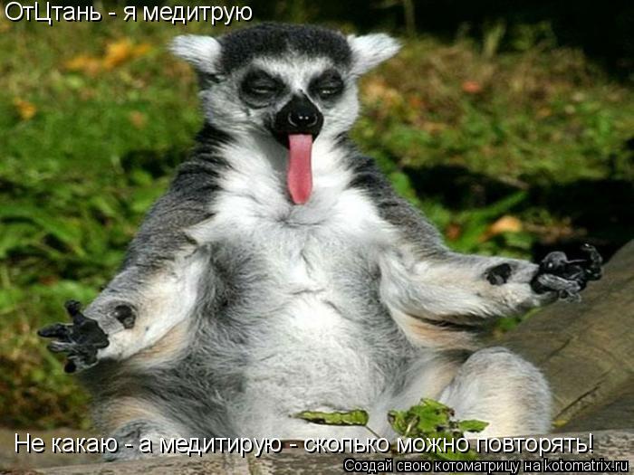 Котоматрица: ОтЦтань - я медитрую Не какаю - а медитирую - сколько можно повторять!