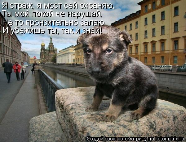 Котоматрица: Я страж, я мост сей охраняю, Не то пронзительно залаю И убежишь ты, так и знай! Ты мой покой не нарушай,