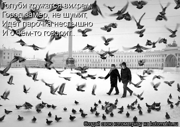 Голуби кружатся вихрем, Город замер, не шумит, Идёт парочка неслышно И о чём-то говорит..... Котоматрица: Голуби кружатся вихрем, Город замер, не шумит, Идёт парочка неслышно И о чём-то говорит..