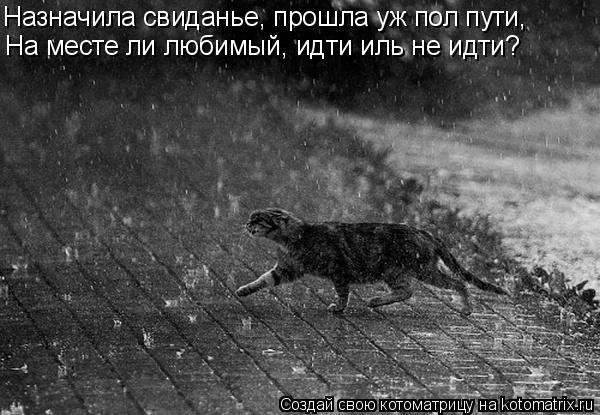 Назначила свиданье, прошла уж пол пути, На месте ли любимый, идти иль не идти?... Котоматрица: Назначила свиданье, прошла уж пол пути, На месте ли любимый, идти иль не идти?