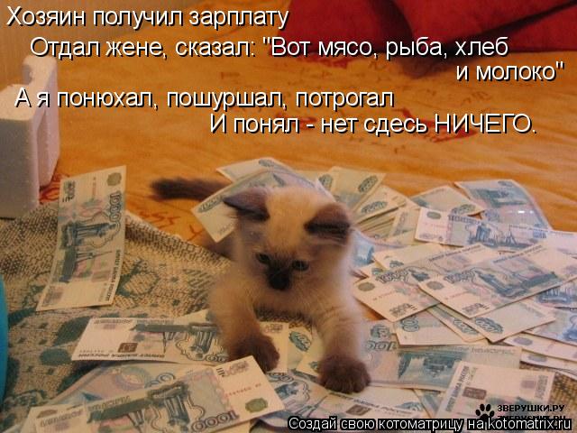 Хозяин получил зарплату Отдал жене, сказал: "Вот мясо, рыба, хлеб и молоко" А я понюхал, пошуршал, п... Котоматрица: Хозяин получил зарплату Отдал жене, сказал: "Вот мясо, рыба, хлеб и молоко" А я понюхал, пошуршал, потрогал И понял - нет сдесь НИЧЕГО.
