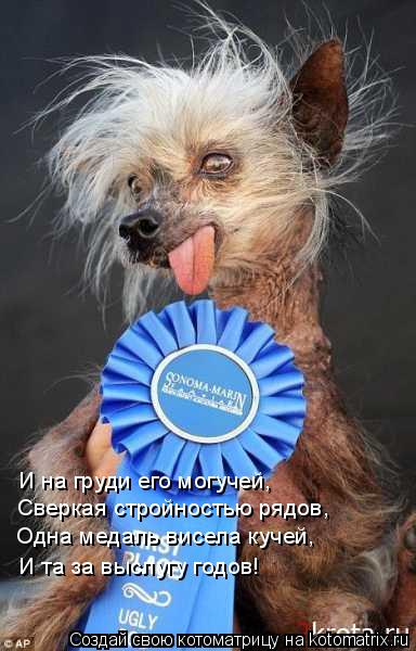 Котоматрица: И на груди его могучей, Сверкая стройностью рядов, Одна медаль висела кучей, И та за выслугу годов!