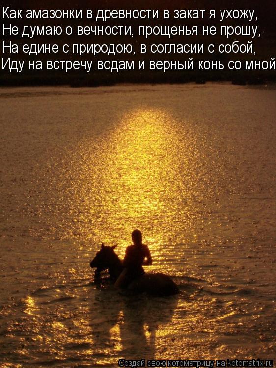 Котоматрица: Как амазонки в древности в закат я ухожу, Не думаю о вечности, прощенья не прошу, На едине с природою, в согласии с собой, Иду на встречу водам