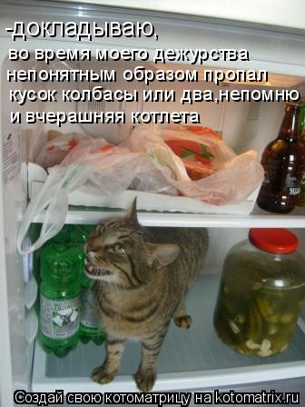 Котоматрица: -докладываю, во время моего дежурства непонятным образом пропал  кусок колбасы или два,непомню  и вчерашняя котлета