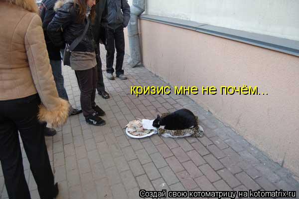 Котоматрица: кризис мне не почём...