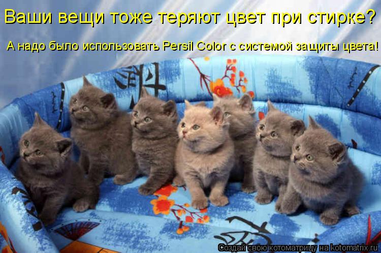 Котоматрица: Ваши вещи тоже теряют цвет при стирке? А надо было использовать Persil Color с системой защиты цвета!