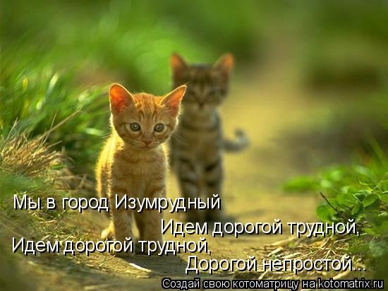Котоматрица: Мы в город Изумрудный Идем дорогой трудной, Идем дорогой трудной, Дорогой непростой...