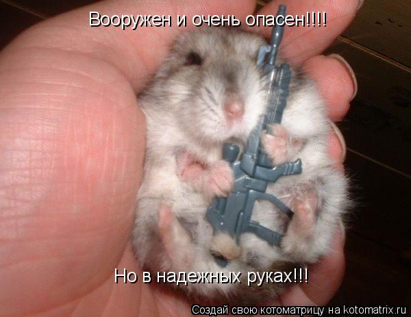 Котоматрица: Вооружен и очень опасен!!!! Но в надежных руках!!!