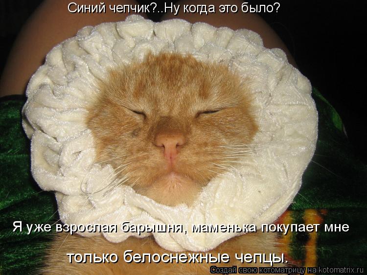 Котоматрица: Синий чепчик?..Ну когда это было? Я уже взрослая барышня, маменька покупает мне  только белоснежные чепцы.