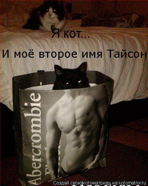 Котоматрица: Я кот... И моё второе имя Тайсон