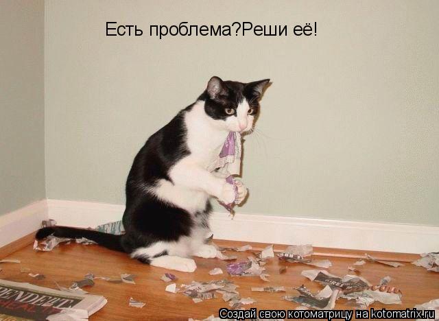 Котоматрица: Есть проблема?Реши её!