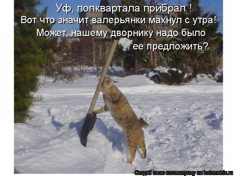 Уф, полквартала прибрал ! Вот что значит валерьянки махнул с утра! Может, нашему дворнику надо было е... Котоматрица: Уф, полквартала прибрал ! Вот что значит валерьянки махнул с утра! Может, нашему дворнику надо было ее предложить?