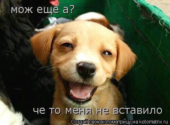 Котоматрица: мож еще а? че то меня не вставило