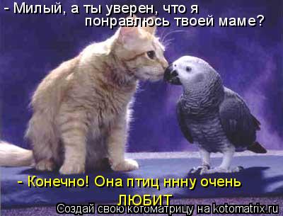 Котоматрица: - Милый, а ты уверен, что я понравлюсь твоей маме?  - Конечно! Она птиц ннну очень ЛЮБИТ