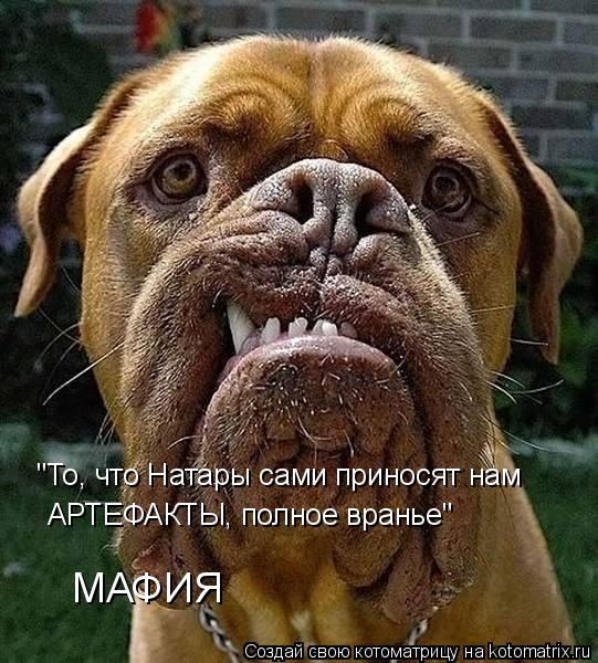 Котоматрица: "То, что Натары сами приносят нам АРТЕФАКТЫ, полное вранье" МАФИЯ