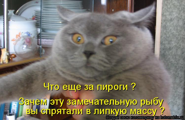 Котоматрица: Что еще за пироги ? Зачем эту замечательную рыбу  вы спрятали в липкую массу ?