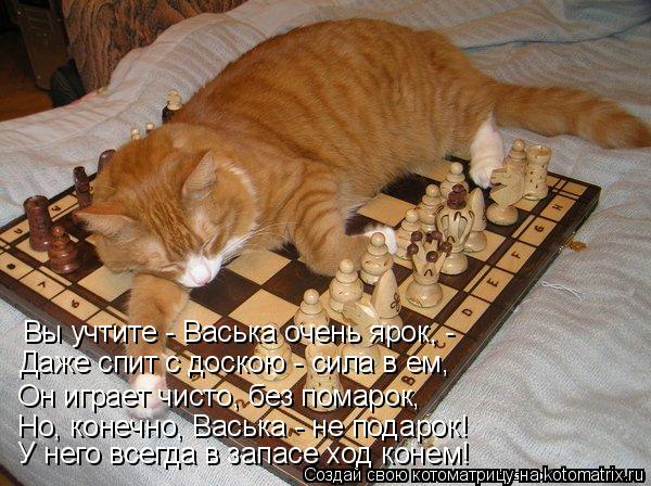 Котоматрица: Вы учтите - Васька очень ярок, - Даже спит с доскою - сила в ем, Он играет чисто, без помарок, Но, конечно, Васька - не подарок! У него всегда в зап