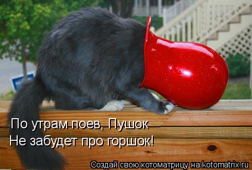 Котоматрица: По утрам поев, Пушок Не забудет про горшок!