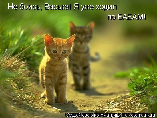 Котоматрица: Не боись, Васька! Я уже ходил по БАБАМ!