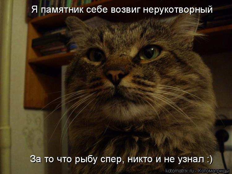 Я памятник себе возвиг нерукотворный За то что рыбу спер, никто и не узнал :)... Котоматрица: Я памятник себе возвиг нерукотворный За то что рыбу спер, никто и не узнал :)
