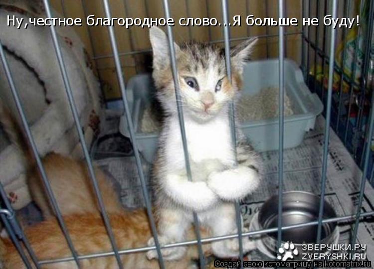 Котоматрица: Ну,честное благородное слово...Я больше не буду!