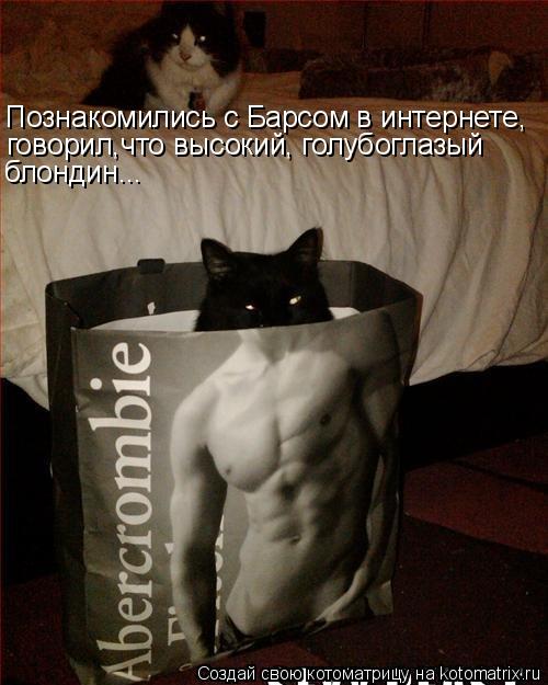 Котоматрица: Познакомились с Барсом в интернете, говорил,что высокий, голубоглазый блондин...