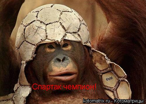 Котоматрица: Спартак чемпион!