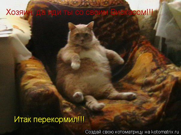 Котоматрица: Хозяин, да иди ты со своим Вискасом!!! Итак перекормил!!!