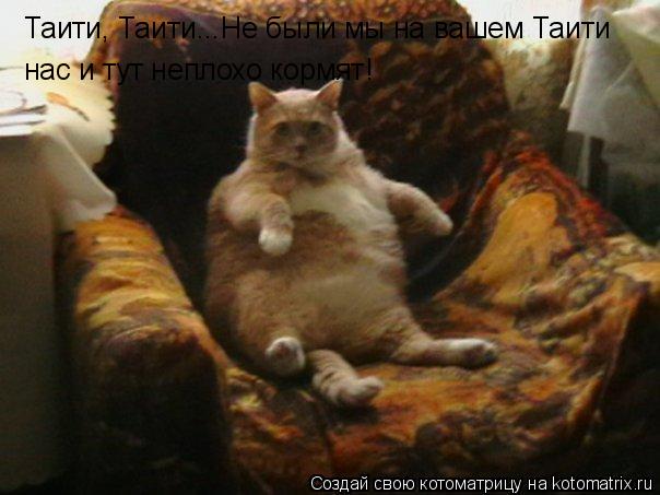 Котоматрица: Таити, Таити...Не были мы на вашем Таити нас и тут неплохо кормят!