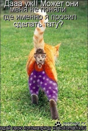 Котоматрица: Дааа уж!! Может они  меня не поняли где именно я просил сделать тату?
