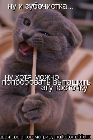 Котоматрица: ну и зубочистка.... ну хотя можно  попробовать вытащить  эту косточку