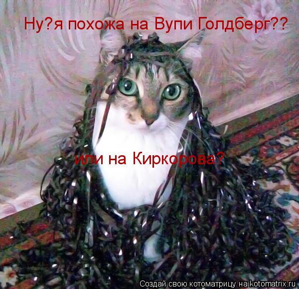 Котоматрица: Ну?я похожа на Вупи Голдберг?? или на Киркорова?
